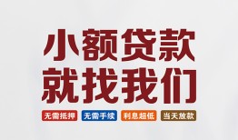 长沙无抵押短借急用钱-长沙无抵押个人信用贷款-长沙无抵押身份证小额贷款