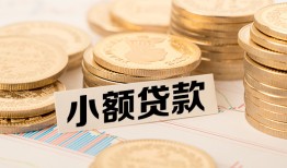 长沙无抵押哪里有小额贷款-长沙无抵押身份证贷款平台-长沙无抵押民间短借